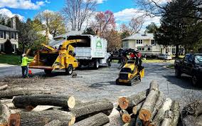 Best Tree Preservation Services  in Yorketown, NJ