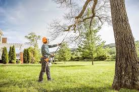 Best Lawn Fertilization  in Yorketown, NJ