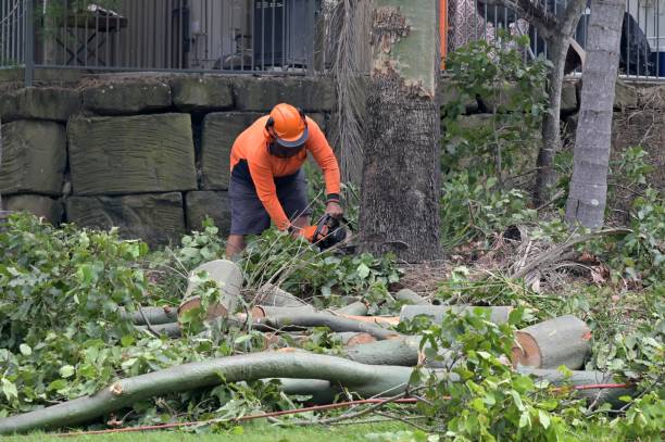 Best Utility Line Clearance  in Yorketown, NJ