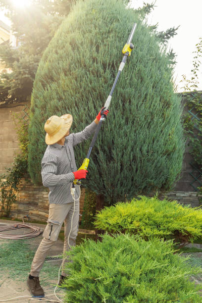 Best Utility Line Clearance  in Yorketown, NJ