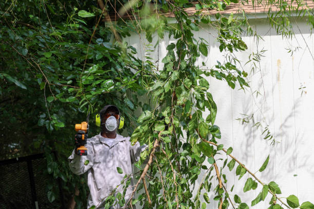 Best Tree Health Inspection  in Yorketown, NJ